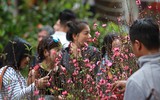 Hấp dẫn chợ hoa Hàng Lược ngày cận Tết
